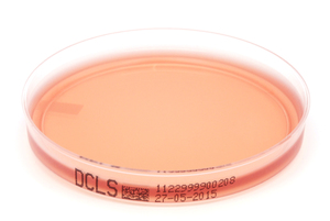 1122 desoxycholat citrat agar dcls xebios