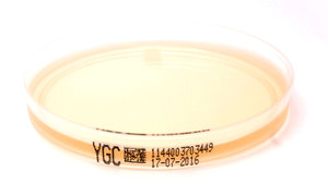 1144 hefeextrakt glucose chloramphenicol agar ygc xebios