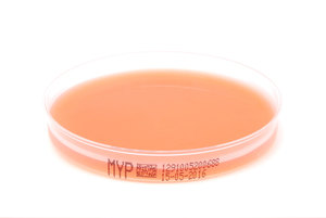 1291 cereus selektivagar nach mossel myp xebios